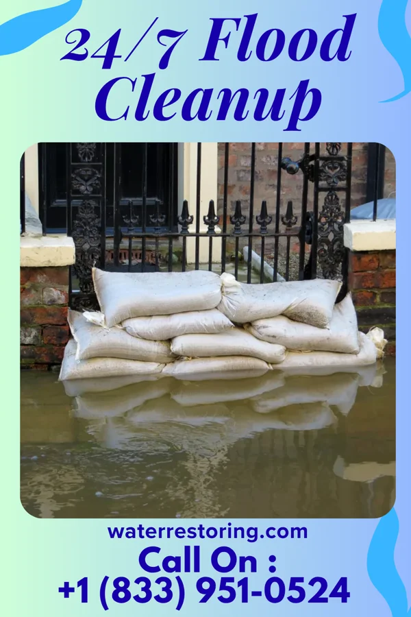 24/7 Flood Cleanup in Sagar, NM