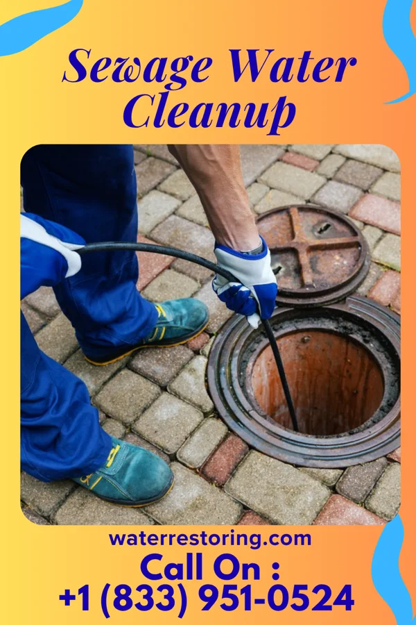 Sewage Water Cleanup in Sagar, NM
